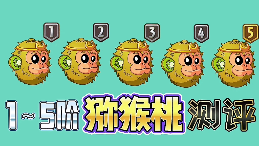 植物大战僵尸:猕猴桃1～5阶测评