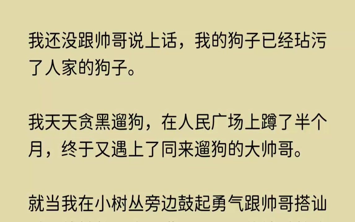 (全文已完结)我还没跟帅哥说上话,我的狗子已经玷污了人家的狗子.我天天贪黑遛狗,在人...哔哩哔哩bilibili