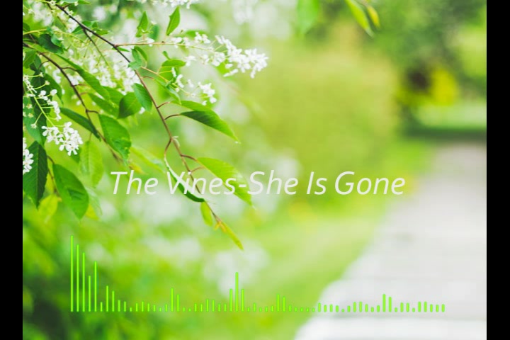 [图]【冷门单曲推荐】The Vines - She Is Gone