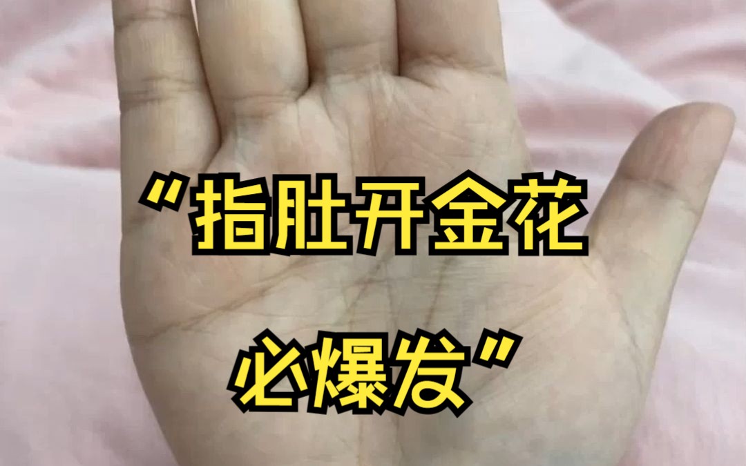 “指肚开金花,必爆发”的发大财手相哔哩哔哩bilibili