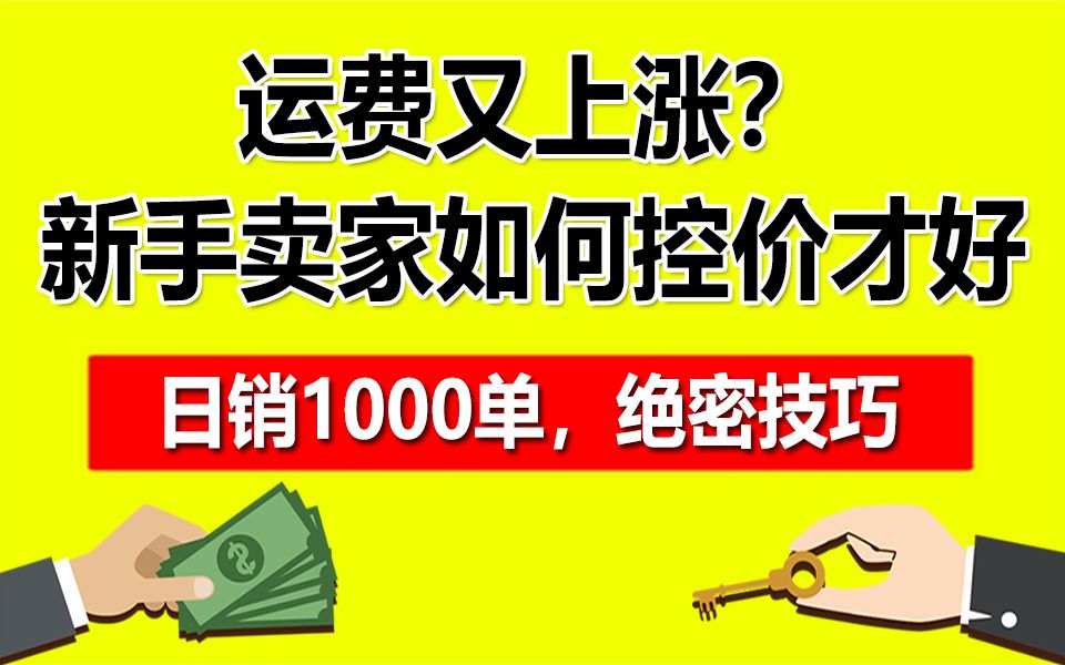 疫情期间外贸卖家如何突破运费上涨的难题,达到逆式增长哔哩哔哩bilibili