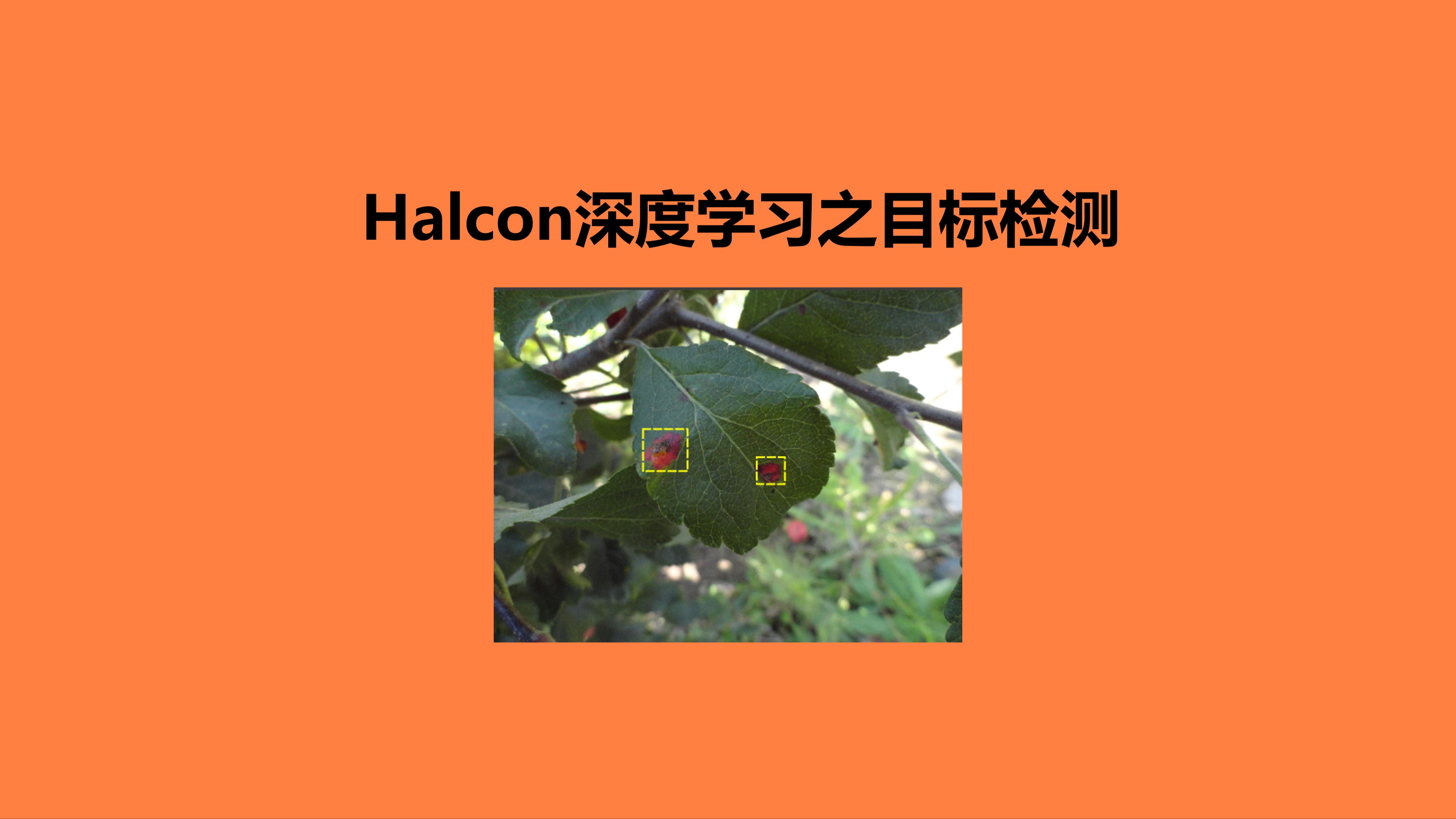 Halcon深度学习之目标检测