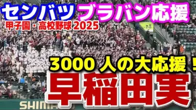 祝甲子園ベスト16 早稲田実業 早実 グラコン 実使用 高校野球 祝甲子園ベスト16 早稲田実業 早実 グラコン 実使用 高校野球