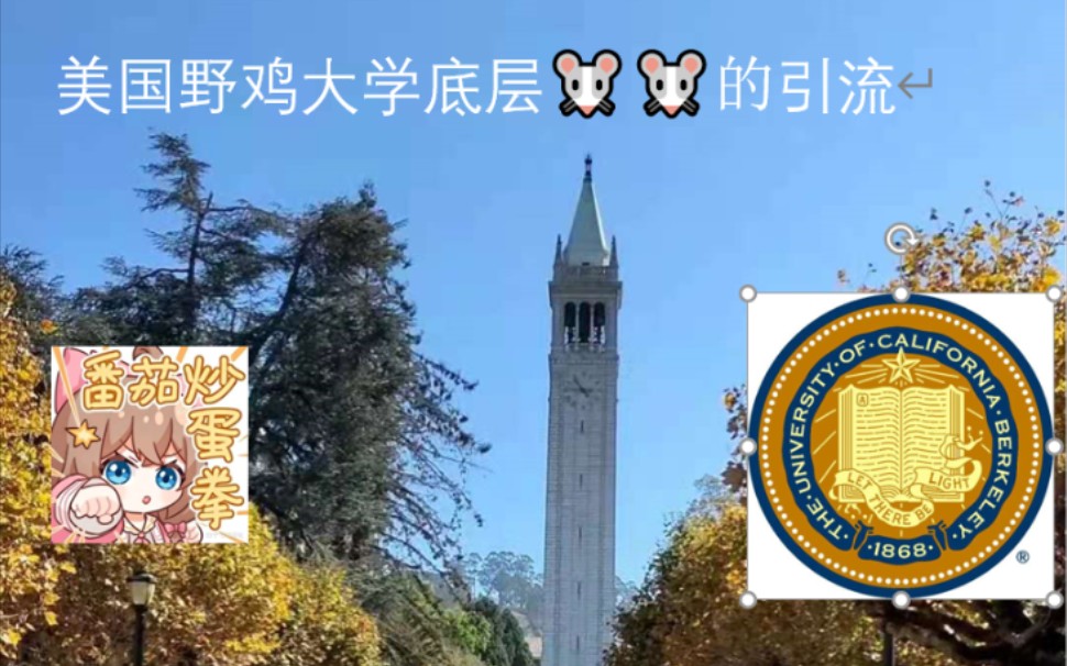 [图]逆天鼠鼠也要在美国野鸡大学引流，路人都看麻了