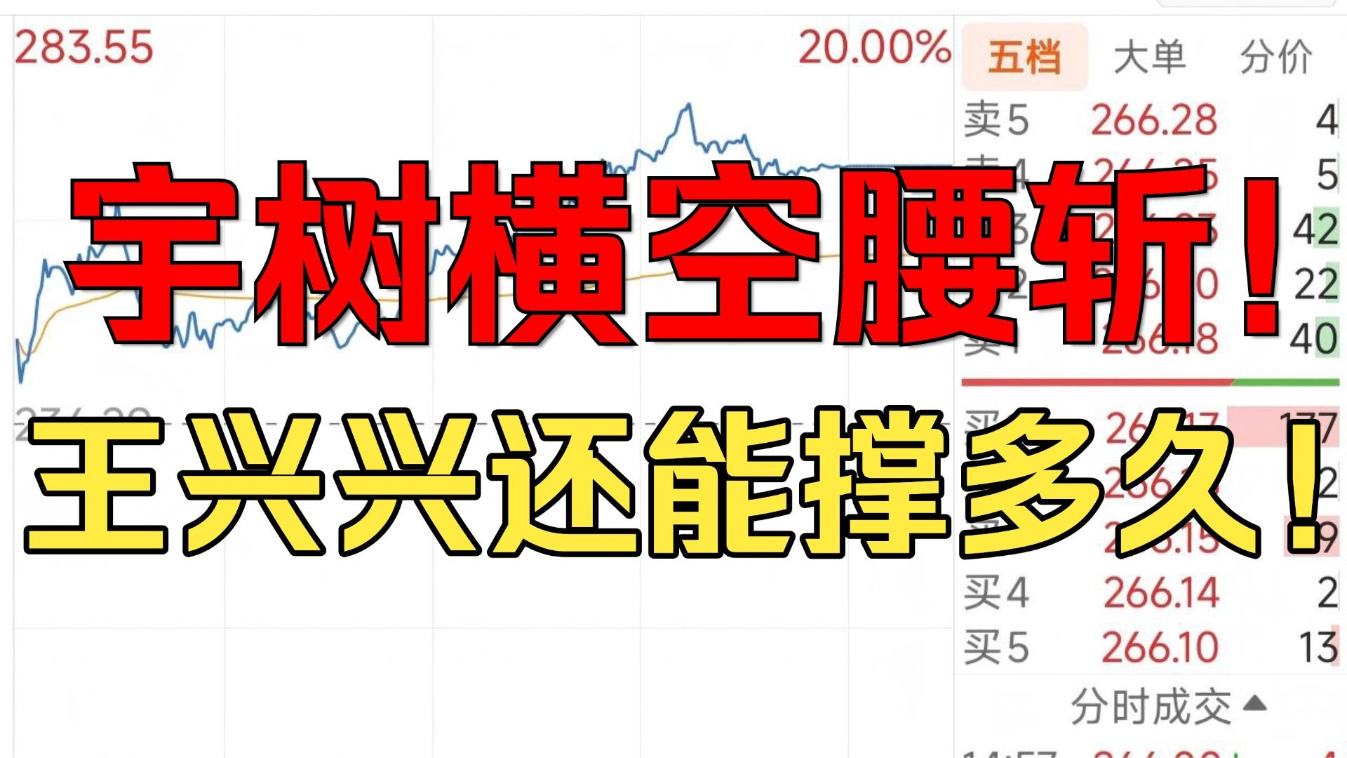 宇树科技！15天横空腰斩！市值蒸发2500亿！高位接盘散户！爆头痛哭！盘大轮动！短线爆发挣钱效应！
