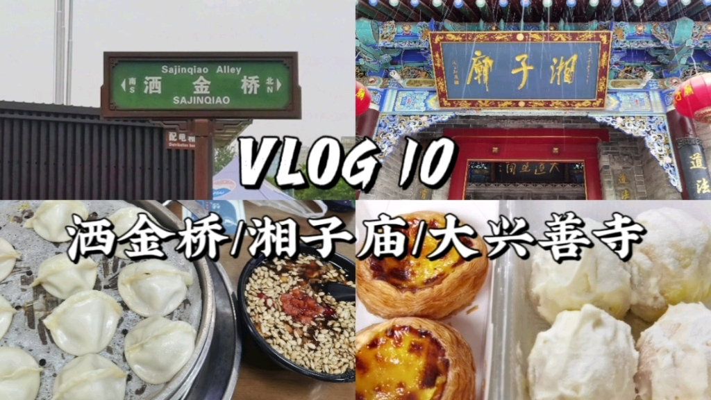 【VLOG#10】西安 洒金桥 | 湘子庙 | 大兴善寺 在西安吃一天的碳水美食是种什么体验哔哩哔哩bilibili