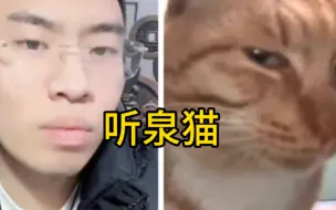 Download Video: 小猫咪撞脸听泉鉴宝，一人一猫几乎一摸一样！