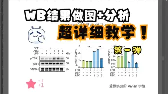 Скачать видео: WB结果处理 | 第一弹：图片处理+组图