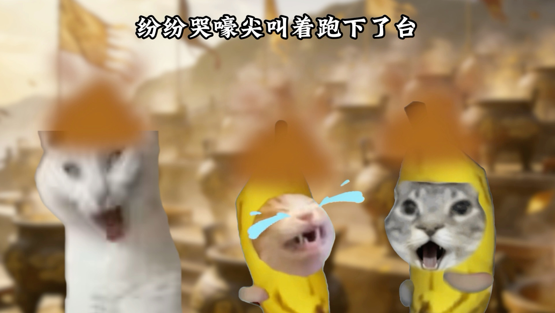 屎灵根小结局(魔丸上班加通宵剪视频熬不住了,合集把最后的画面补上)-猫meme魔丸-猫meme魔丸-哔哩哔哩视频