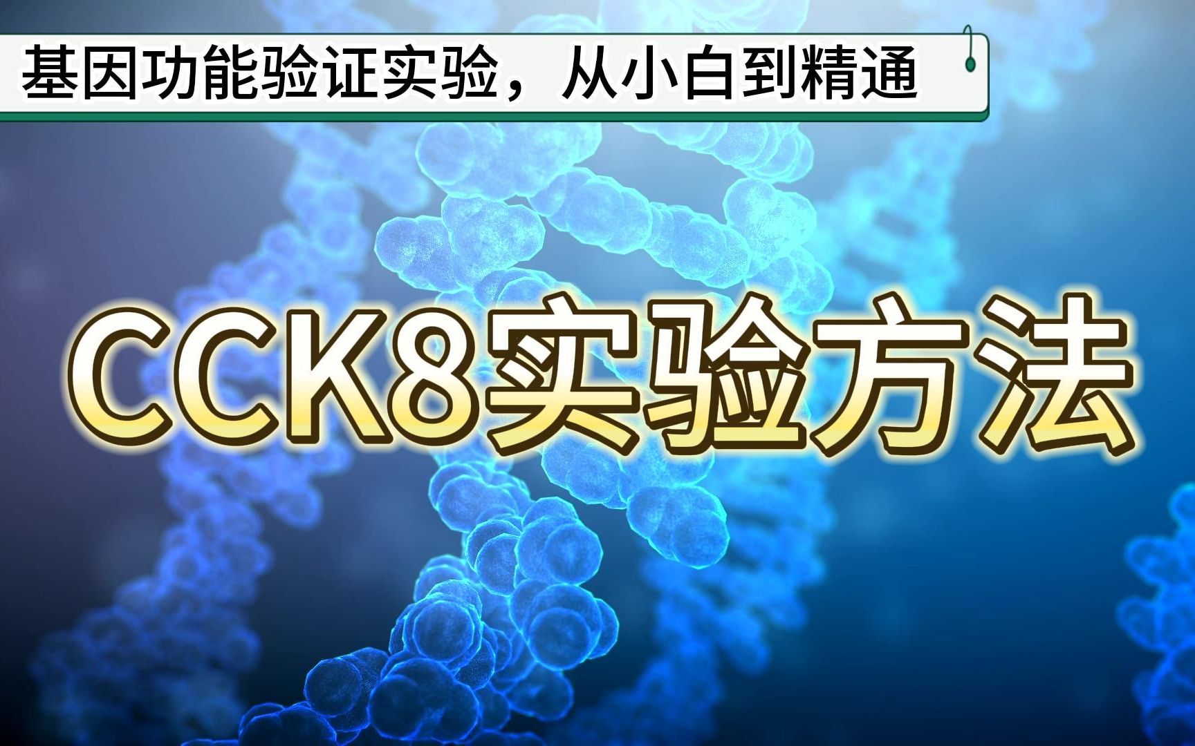 CCK8实验方法!哔哩哔哩bilibili