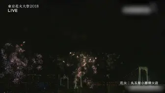 5 板桥花火大会 哔哩哔哩 Bilibili