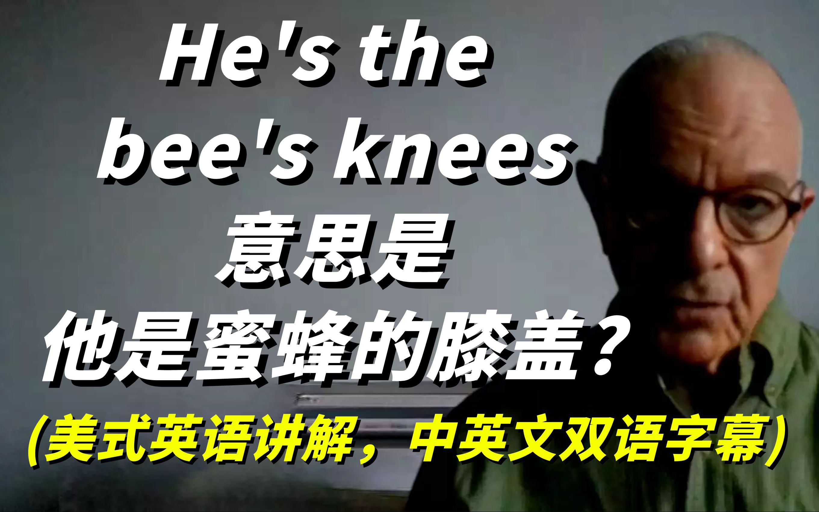 在美剧中,人们常说的He's the bee's knees意思是他是蜜蜂的膝盖?别搞错了(中英文双语字幕)哔哩哔哩bilibili