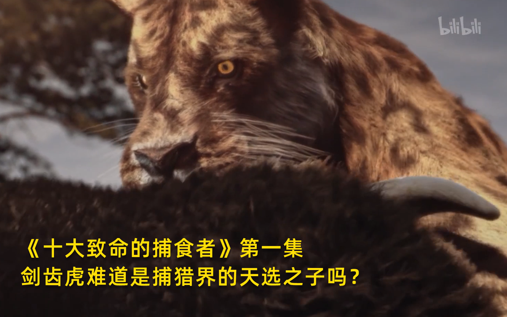 十大致命的捕食者看点10-纪录片-全集-高清正版在线观看-bilibili-哔哩哔哩
