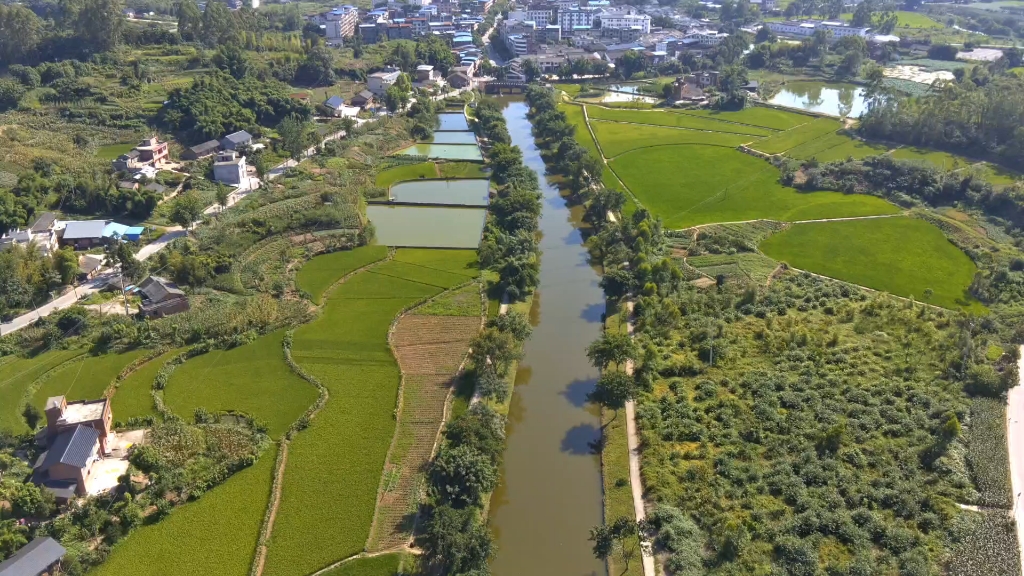 重庆市永川区板桥镇