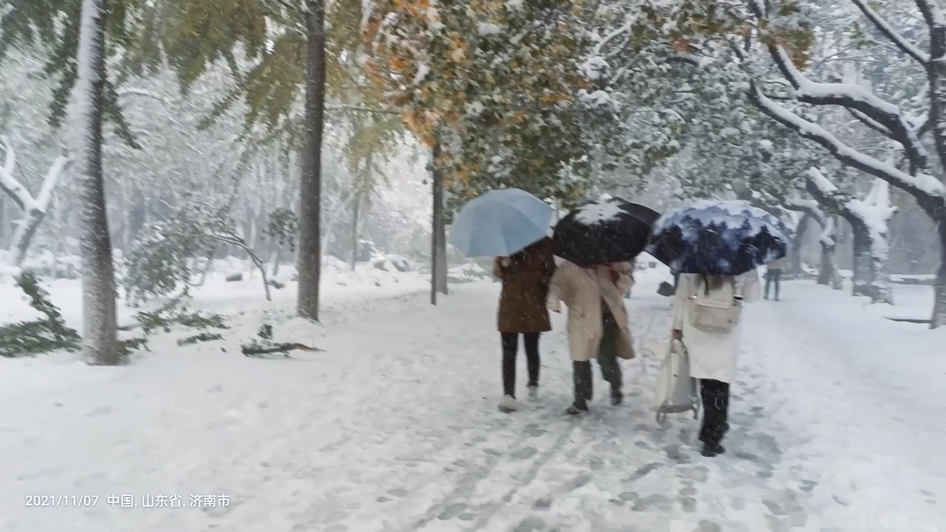 【初雪】分享一下,刚上完自习,受到暴击,山东初雪为何如此猛烈......哔哩哔哩bilibili