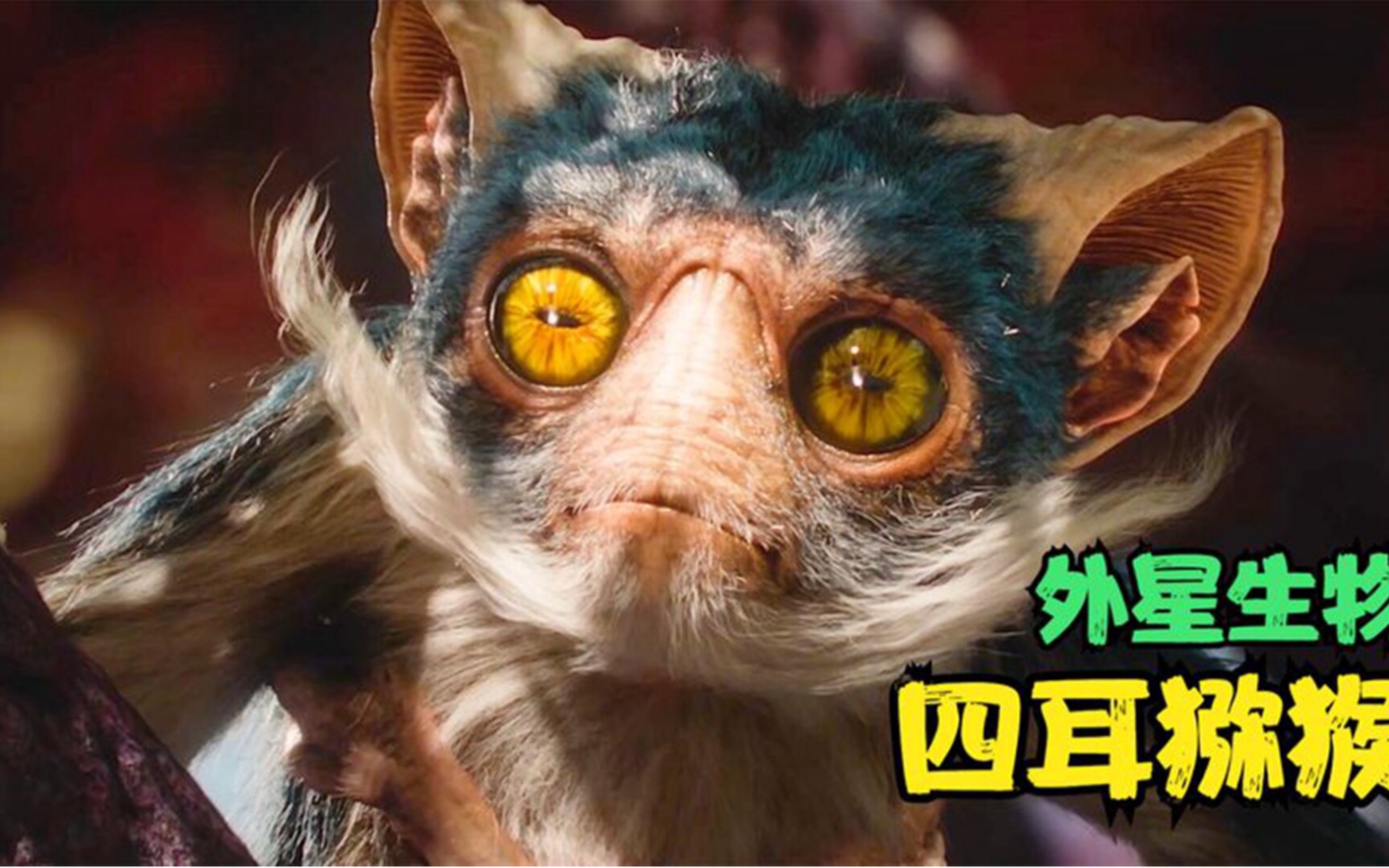 电影解说《外星世界》我一直认为,地球有人类,那外星一定有