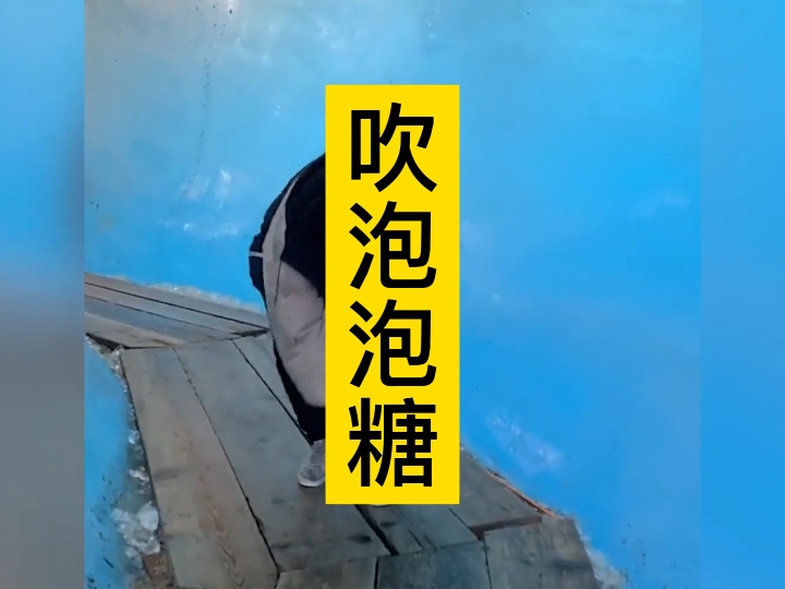 盘点网络上人类的尴尬瞬间吹泡泡糖#搞笑哔哩哔哩bilibili