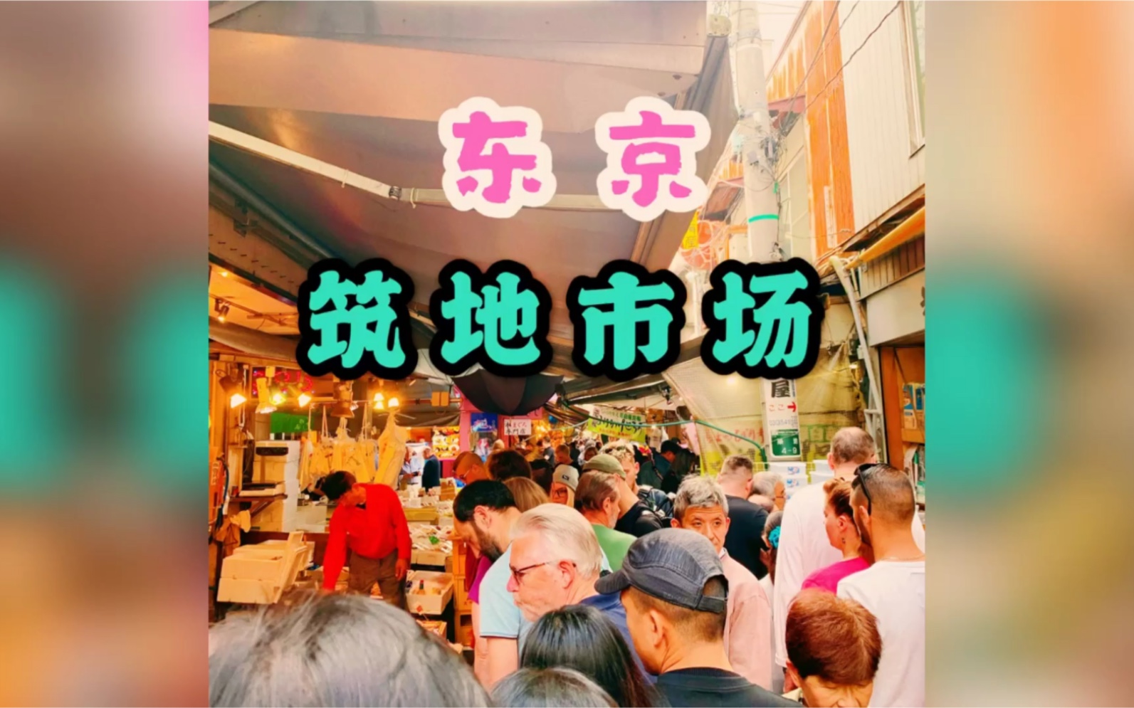 东京筑地市场玉子烧生蚝海鲜刺身饭超贵的蜜瓜顺便买了迷你招财猫动物