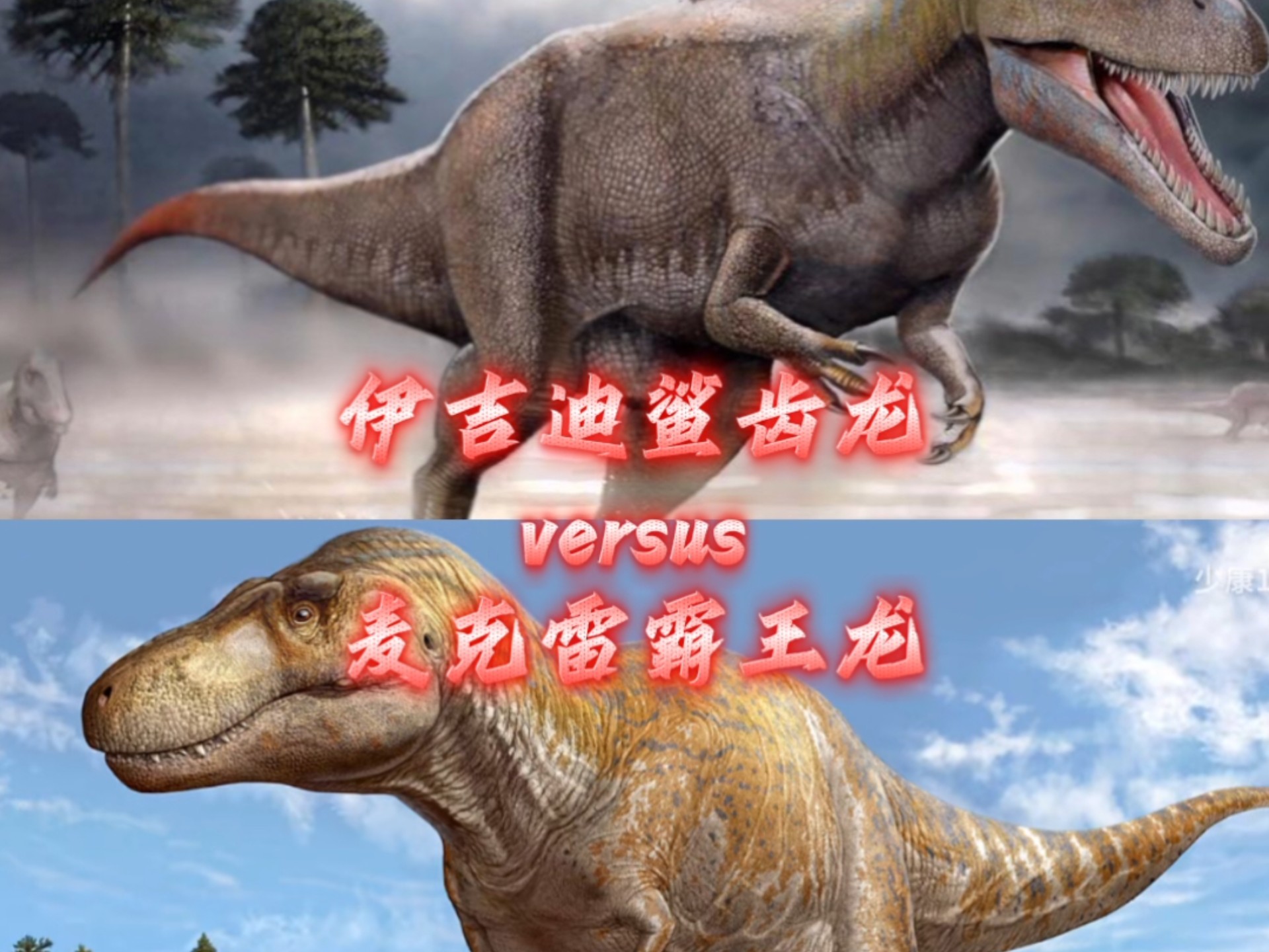 斗兽:伊吉迪鲨齿龙vs麦克雷霸王龙