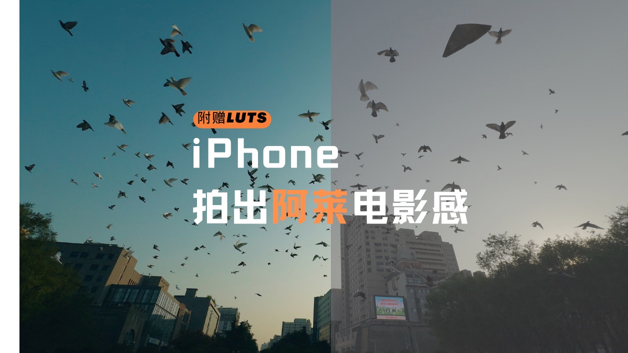 让你的iPhone拍出阿莱电影感+LUTS分享|全流程制作哔哩哔哩bilibili