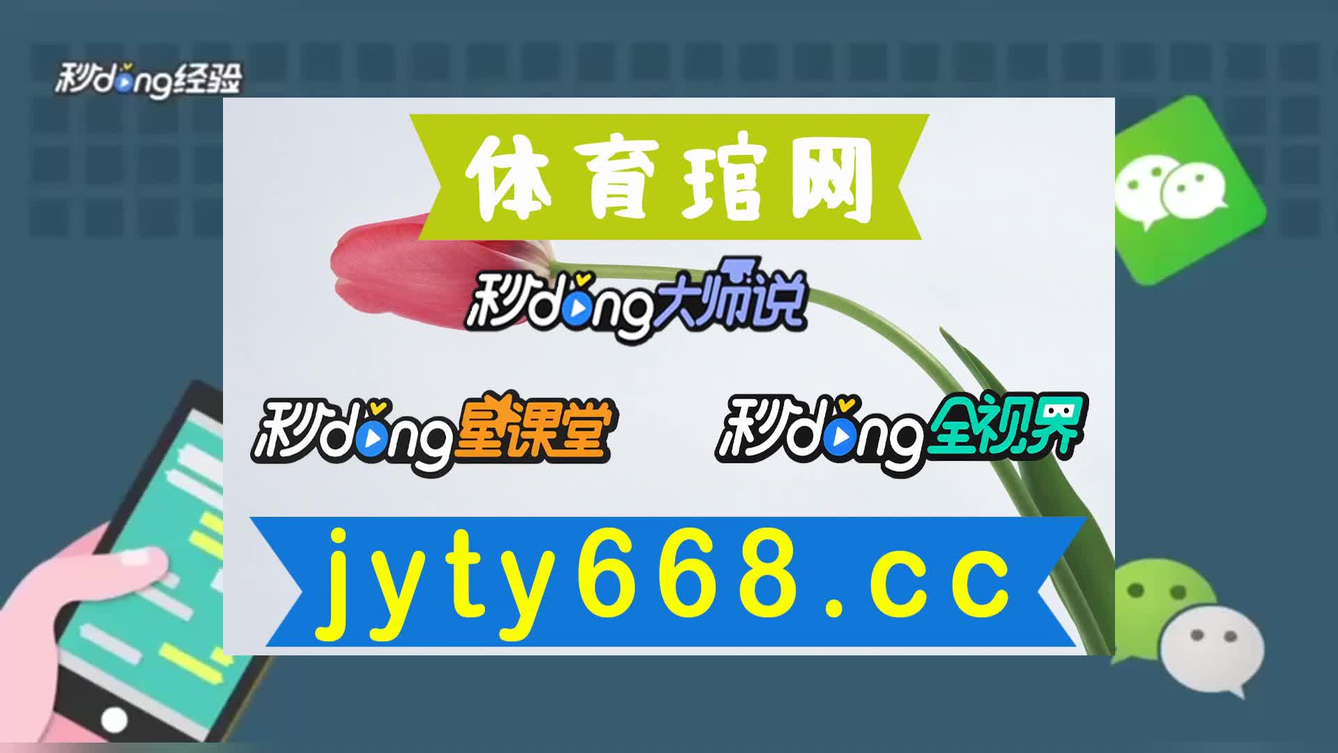 五秒知道白小姐一肖一码期准今晚开奖