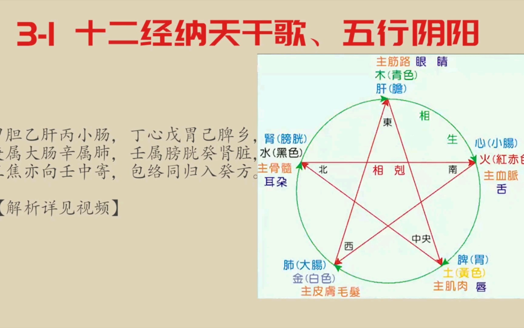 [图]【倪海厦-人纪-针灸-带字幕】3-1 针灸基础知识：十二经纳天干歌及五行阴阳讲解【内容和笔记较多，同好学习交流，不是科普】