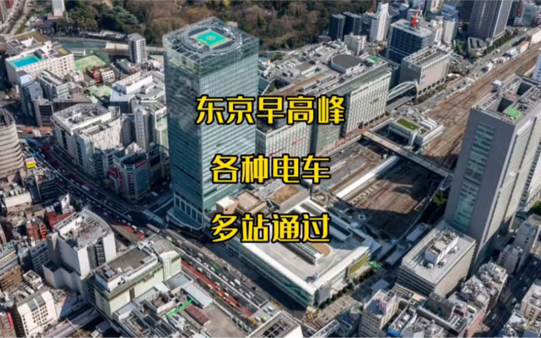 东京早高峰，四大车站现场3倍速视频，几十种电车通过，场面有点壮观