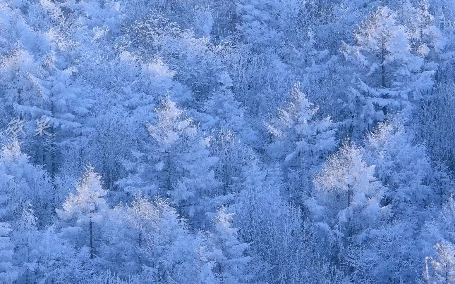 v12 2k分辨率超美冬天冬季雪景雪山云海云雾白雪皑皑冰凌蓝天白云视频素材 粒子视频 晚会表演哔哩哔哩bilibili