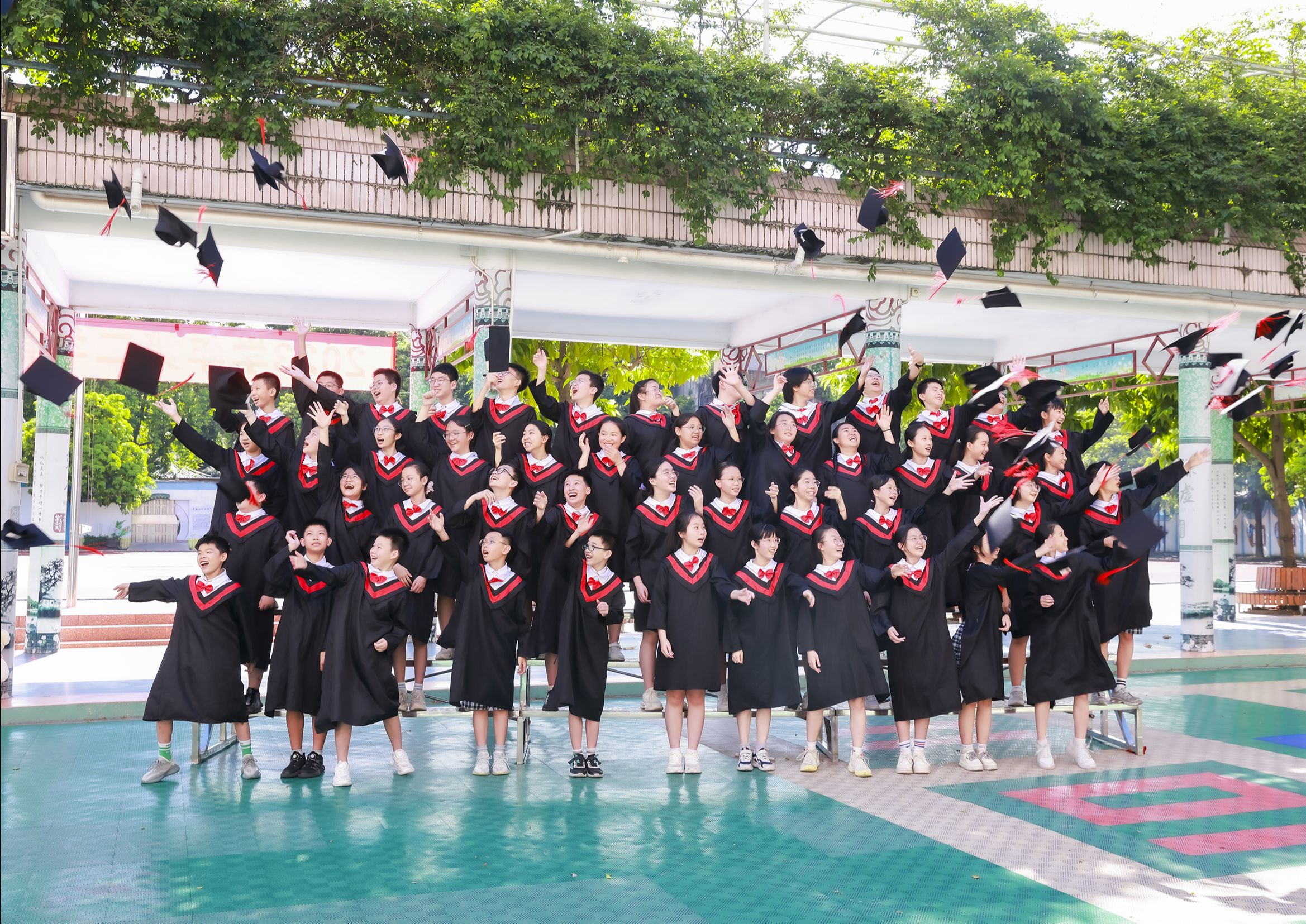 顺德陈村新圩小学图片