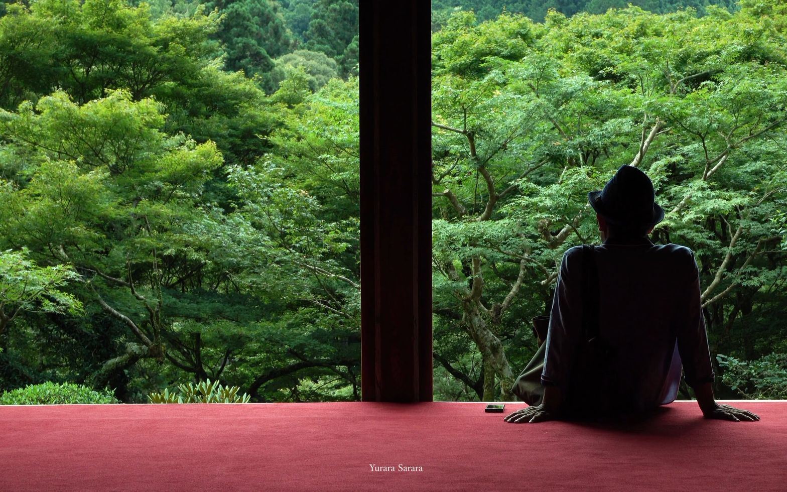 高山寺 京都の庭园哔哩哔哩bilibili