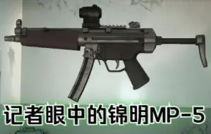 下载视频: 记者眼中的锦明MP5