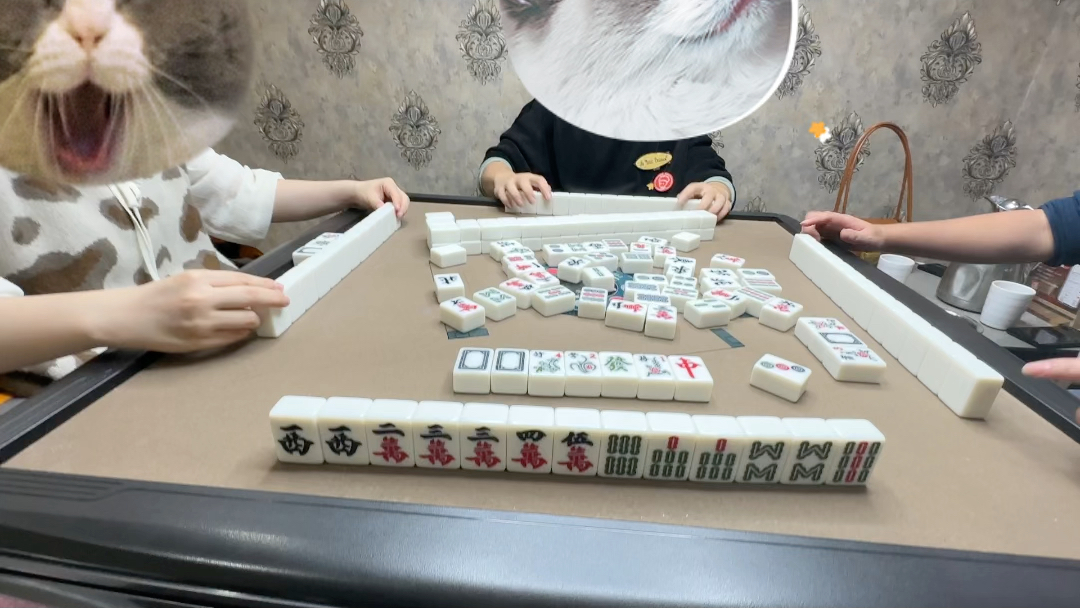 我要这三筒有何用?#麻将#一炮三响