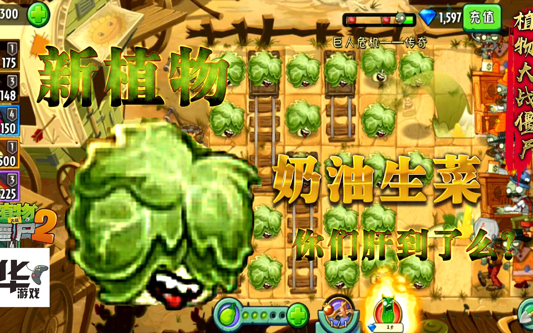 pvz2最新植物奶油生菜图片