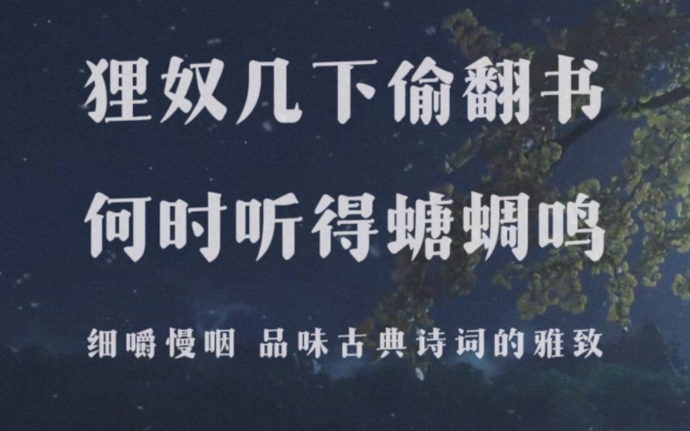 “狸奴几下偷翻书,何时听得螗蜩鸣” 细嚼慢咽 品味古典诗词的雅致哔哩哔哩bilibili