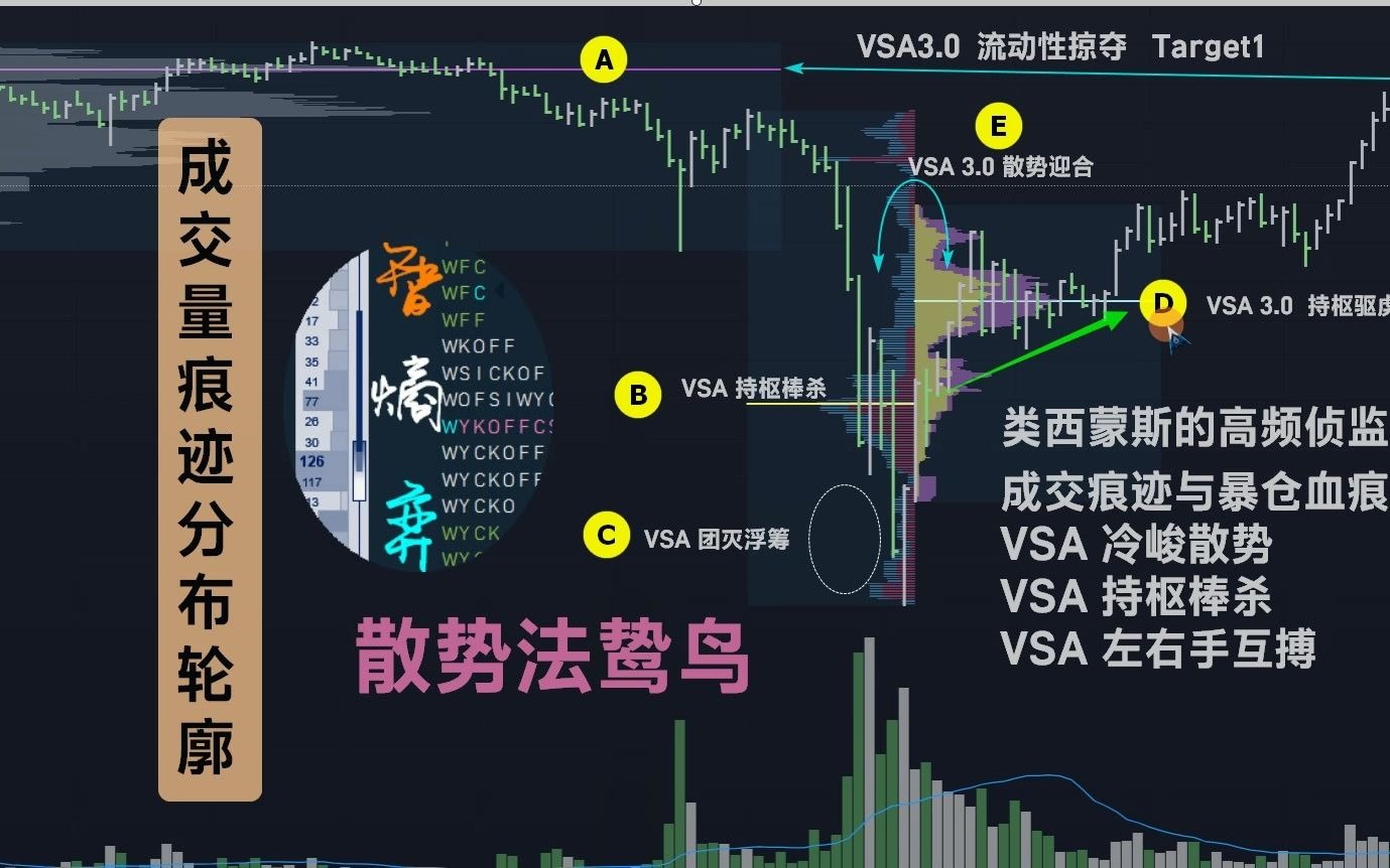 VSA3.0 散势法鸷鸟哔哩哔哩bilibili