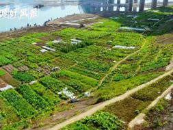 Скачать видео: 合理的土地利用是消落带治理的基础