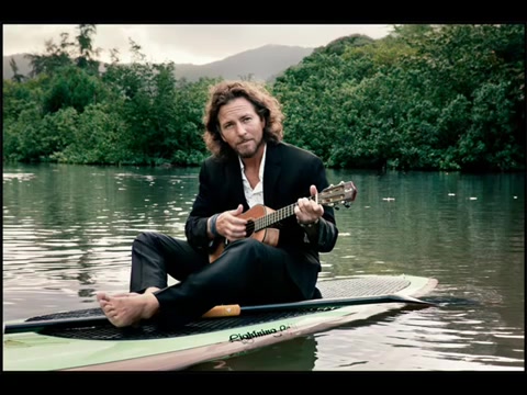 Society [Eddie Vedder 电影Into the Wild插曲]哔哩哔哩bilibili