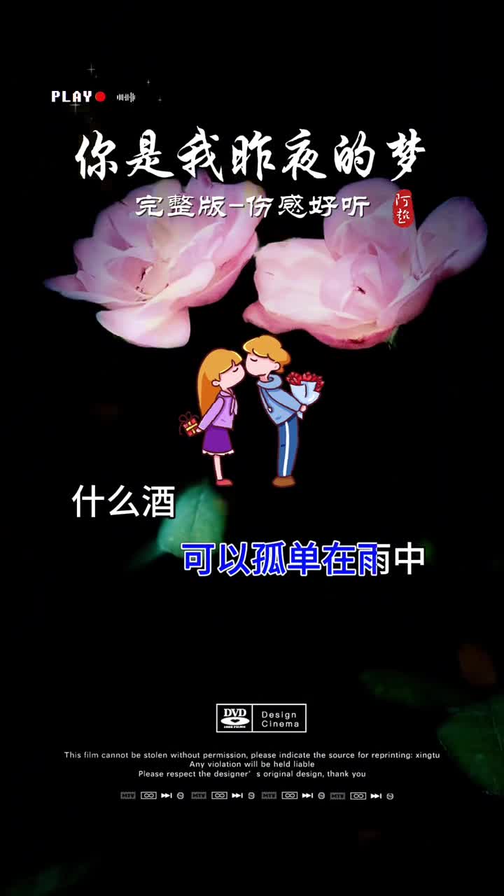 你是我昨夜的梦歌词