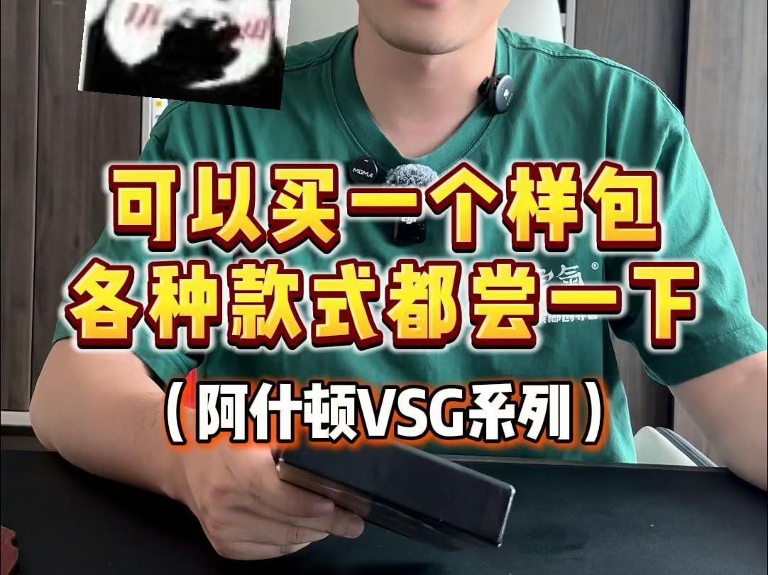 阿什顿VSG系列哔哩哔哩bilibili