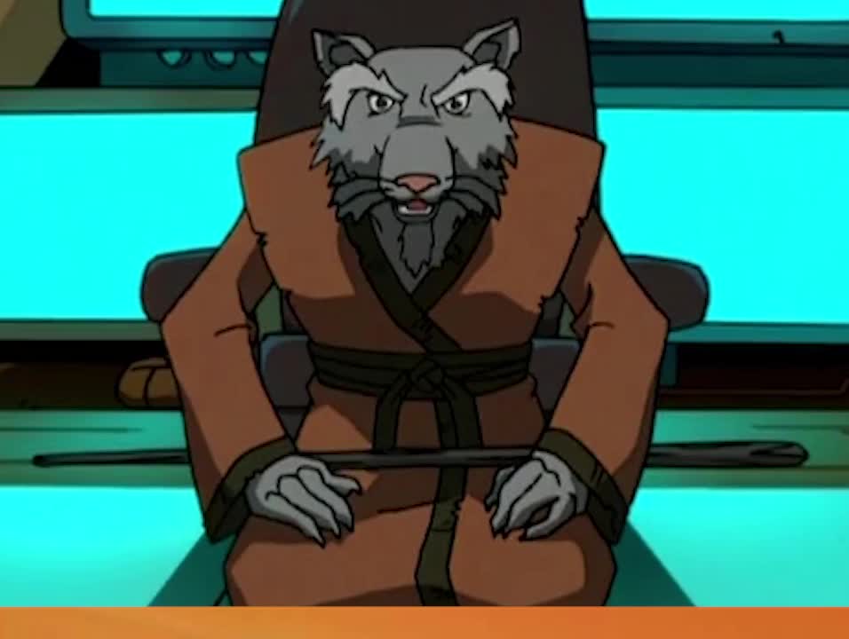 2003版《忍者神龟》,揭秘斯普林特和神龟们的身世之谜_哔哩哔哩 (゜