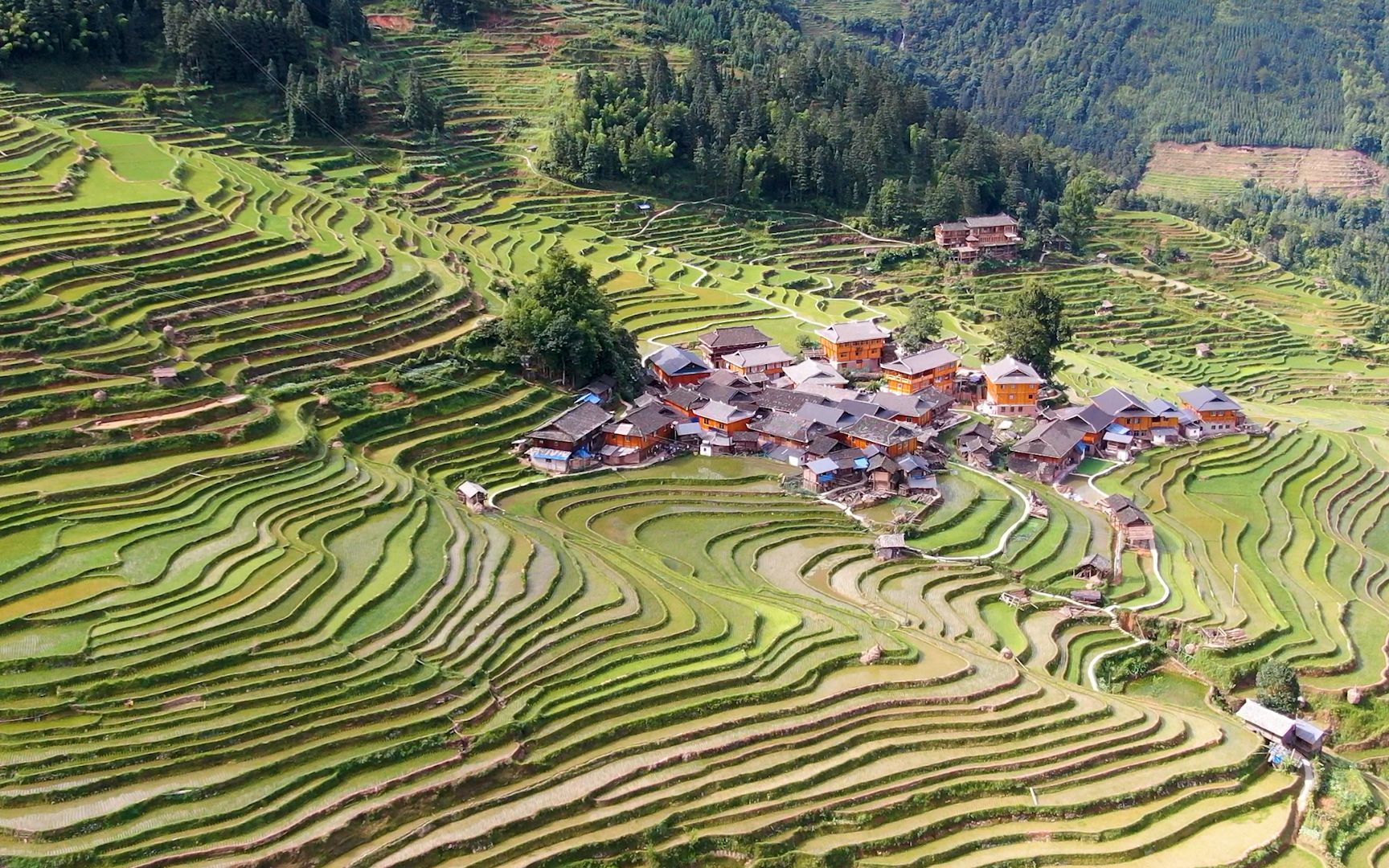 贵州大山深处的田间小寨,层层叠叠的梯田,如世外桃源