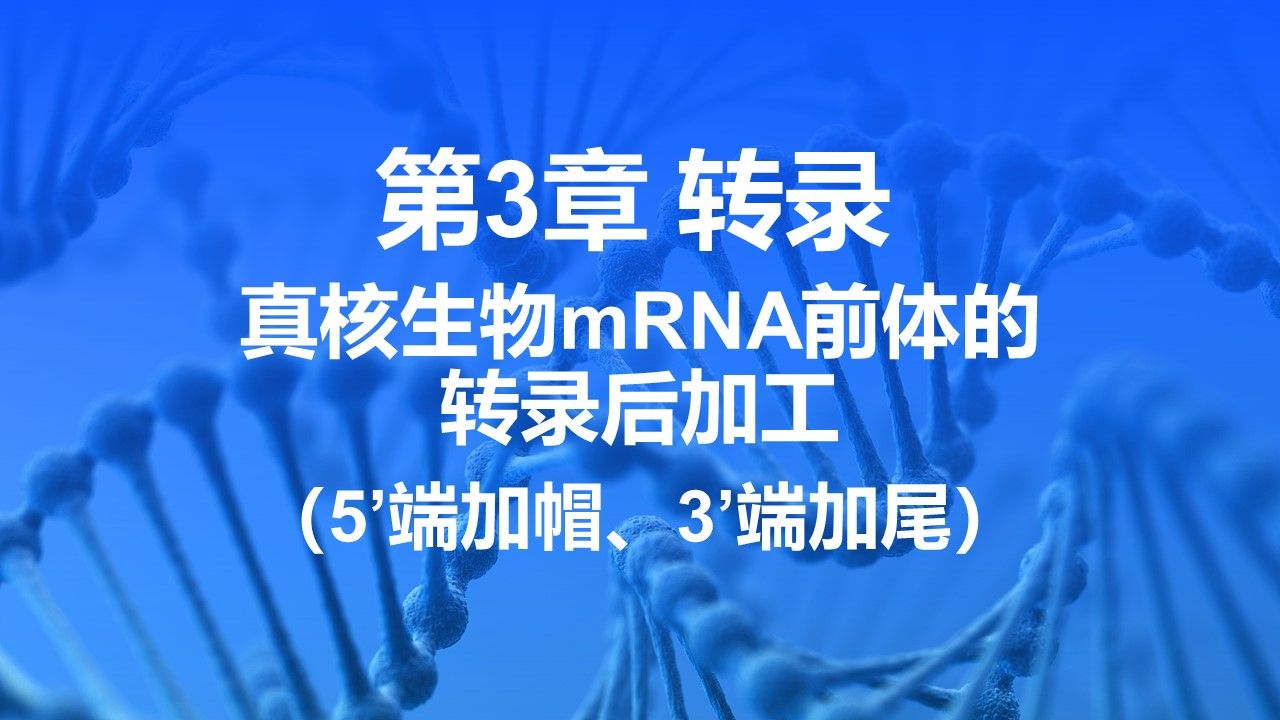 [图]【分子生物学】第3章 转录 | 第4节 RNA的转录后加工 | 真核生物mRNA前体的转录后加工（5'端加帽、3'端加尾）