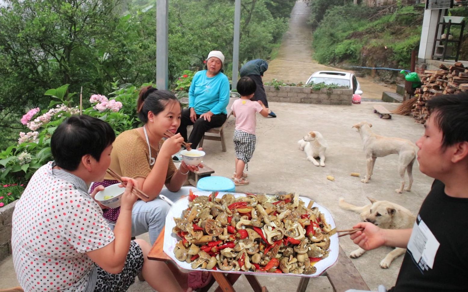 媳妇炒一盘酸辣野生菌,一家人边吃饭边聊家常,农家小院好温馨哔哩哔哩bilibili