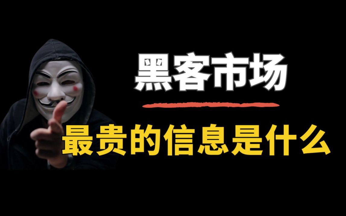 黑客市场最贵的信息是什么?(网络安全/黑客技术/ 信息安全)哔哩哔哩bilibili