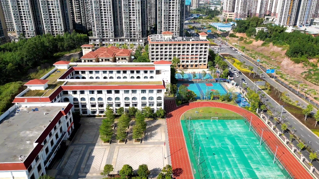 钦州目前最贵的小学(金棕榈小学),以前叫钦州二中恒大附属小学