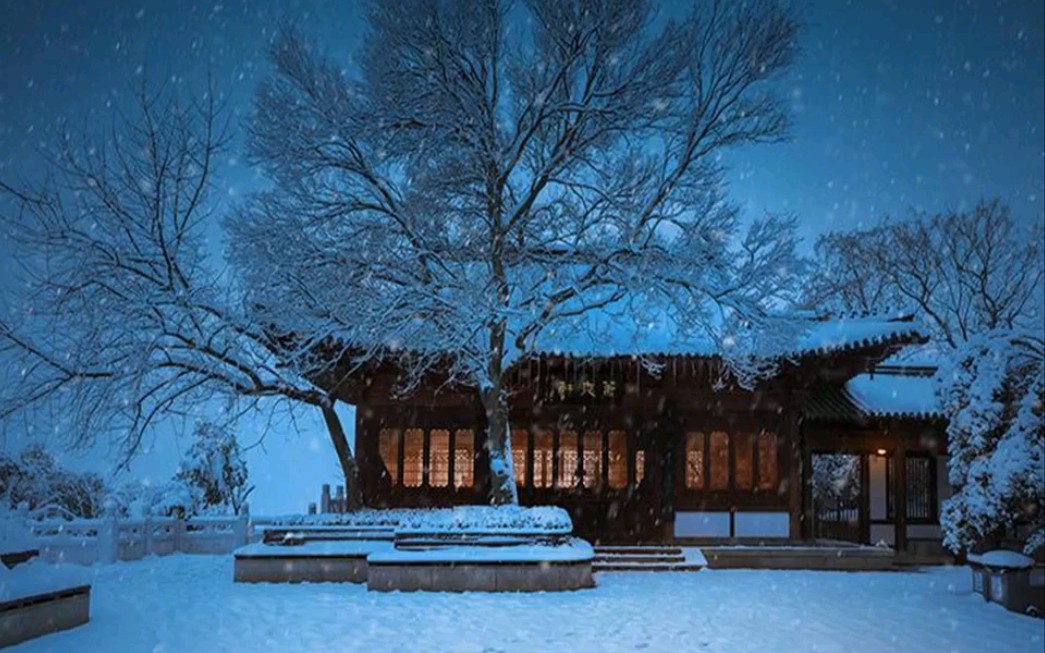 [图]那伶仃的雪花，在寒风中独自飘摇，默默地失了它的温情