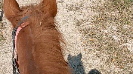 第一次在现实中以第一人称视角骑马