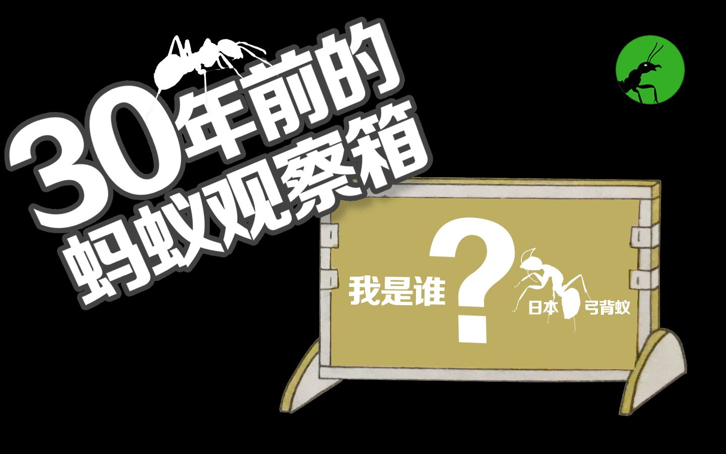 30年前的人是怎么养蚂蚁的?手动还原30年前的蚂蚁观察箱设计!哔哩哔哩bilibili