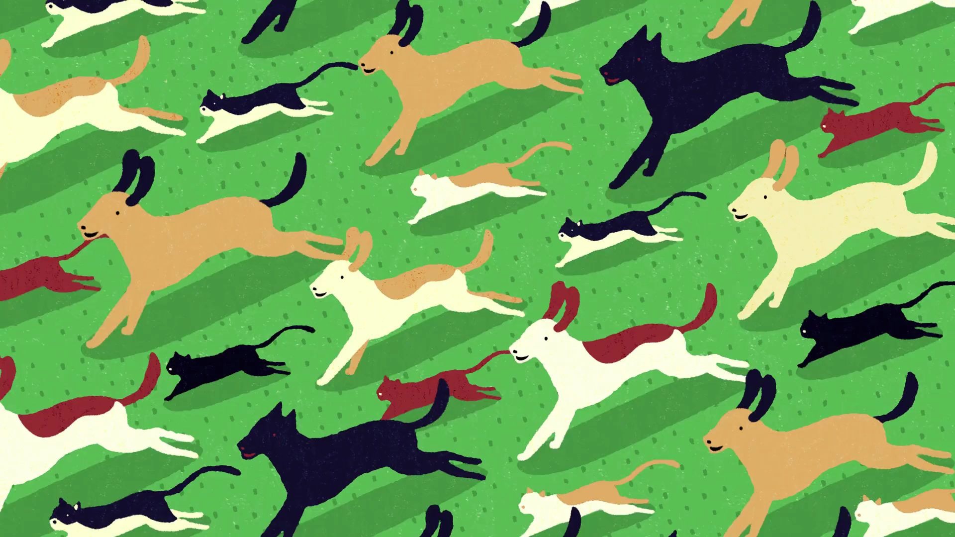 【动态图形设计】yora - whats your pets carbon pawprint