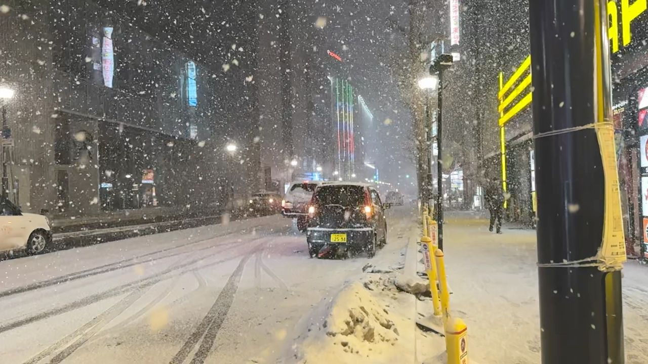 札幌的雪图片